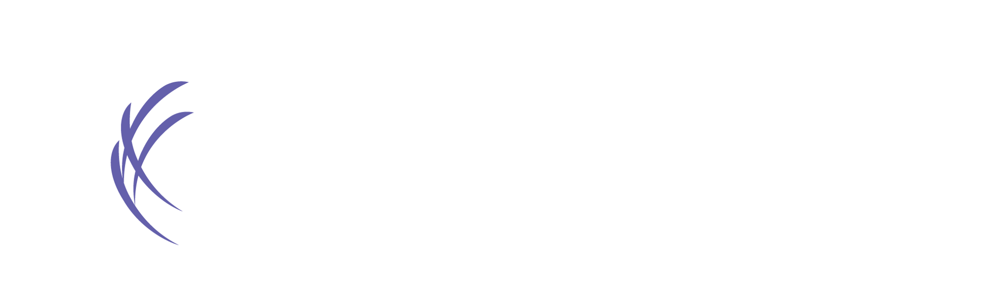 Kaptivate logo image