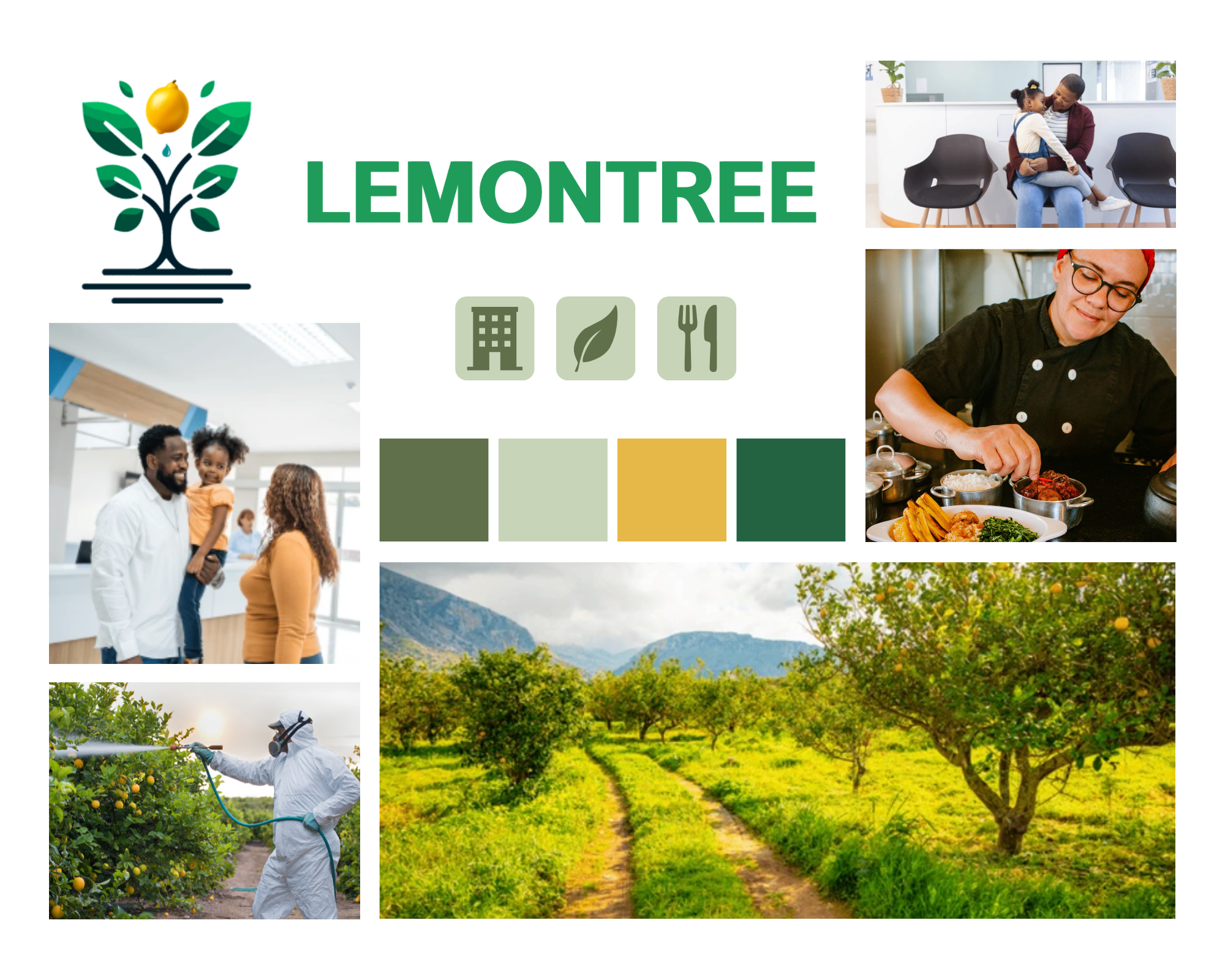 Lemontree Mood Board