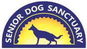 senior-dog-sanctuary
